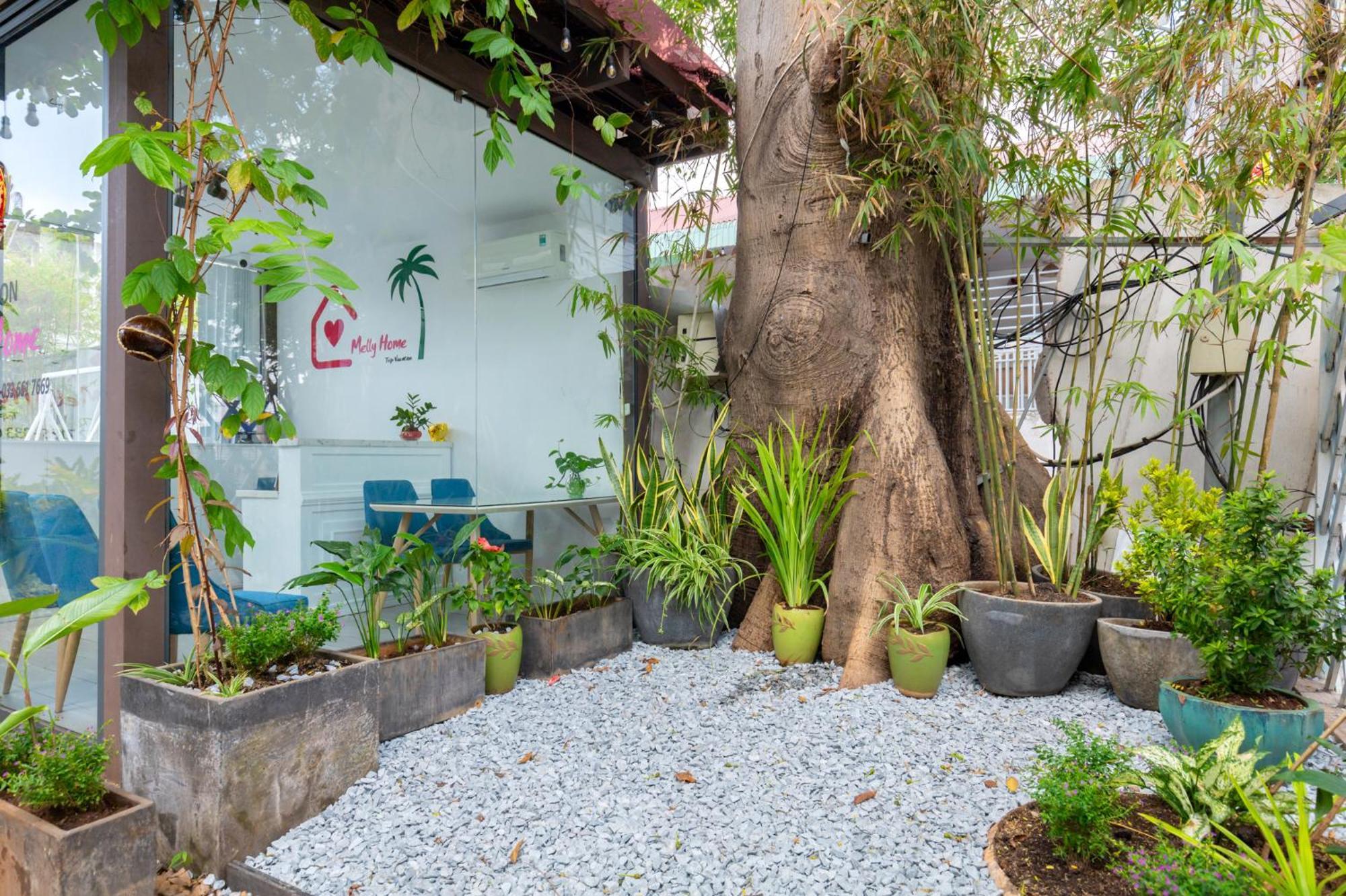 Melly Home - 128 Hht Vung Tau Bagian luar foto